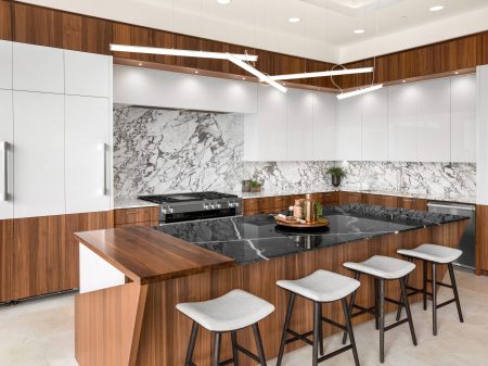 Kitchen in New Contemporary Style Luxury Home